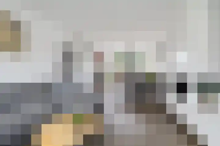 De Tsjalk 11 Grou thumbnail 16