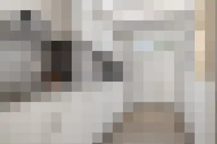 De Tsjalk 11 Grou thumbnail 23