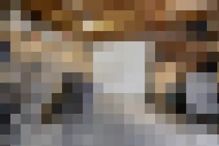 De Tsjalk 11 Grou thumbnail 44