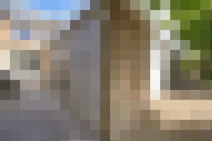 De Tsjalk 11 Grou thumbnail 47