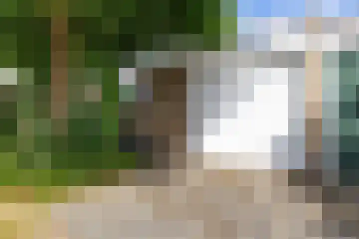 De Tsjalk 11 Grou thumbnail 48