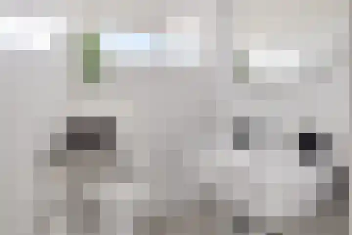 De Tsjalk 11 Grou thumbnail 5