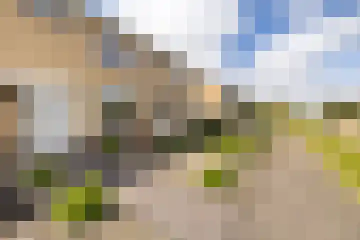 De Tsjalk 11 Grou thumbnail 6