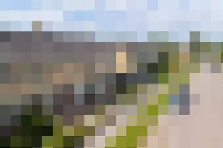 De Tsjalk 11 Grou thumbnail 9