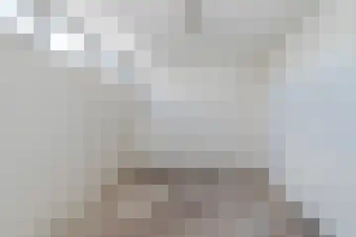 De Tsjalk 19 Grou thumbnail 15