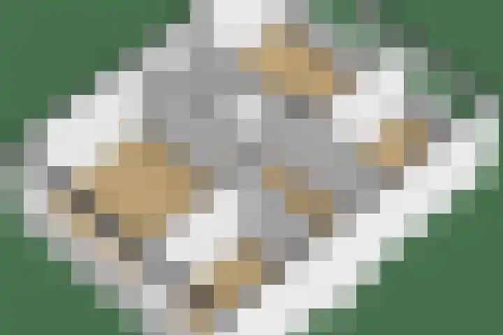 De Tsjalk 19 Grou thumbnail 39