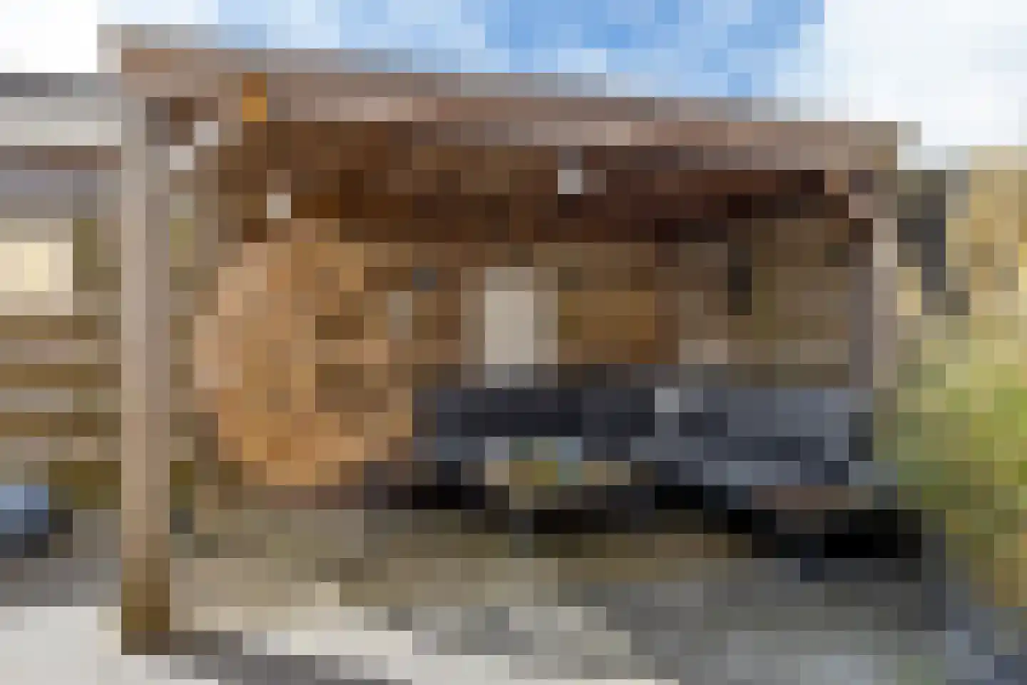 De Tsjalk 25 Grou thumbnail 21