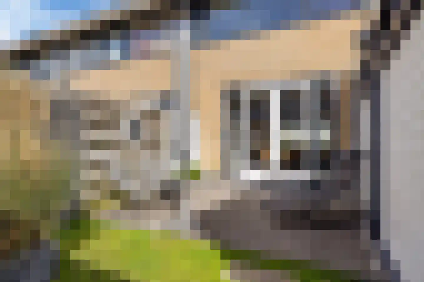 De Tsjalk 25 Grou thumbnail 23