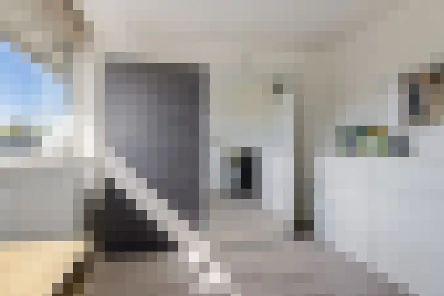 De Tsjalk 25 Grou thumbnail 33