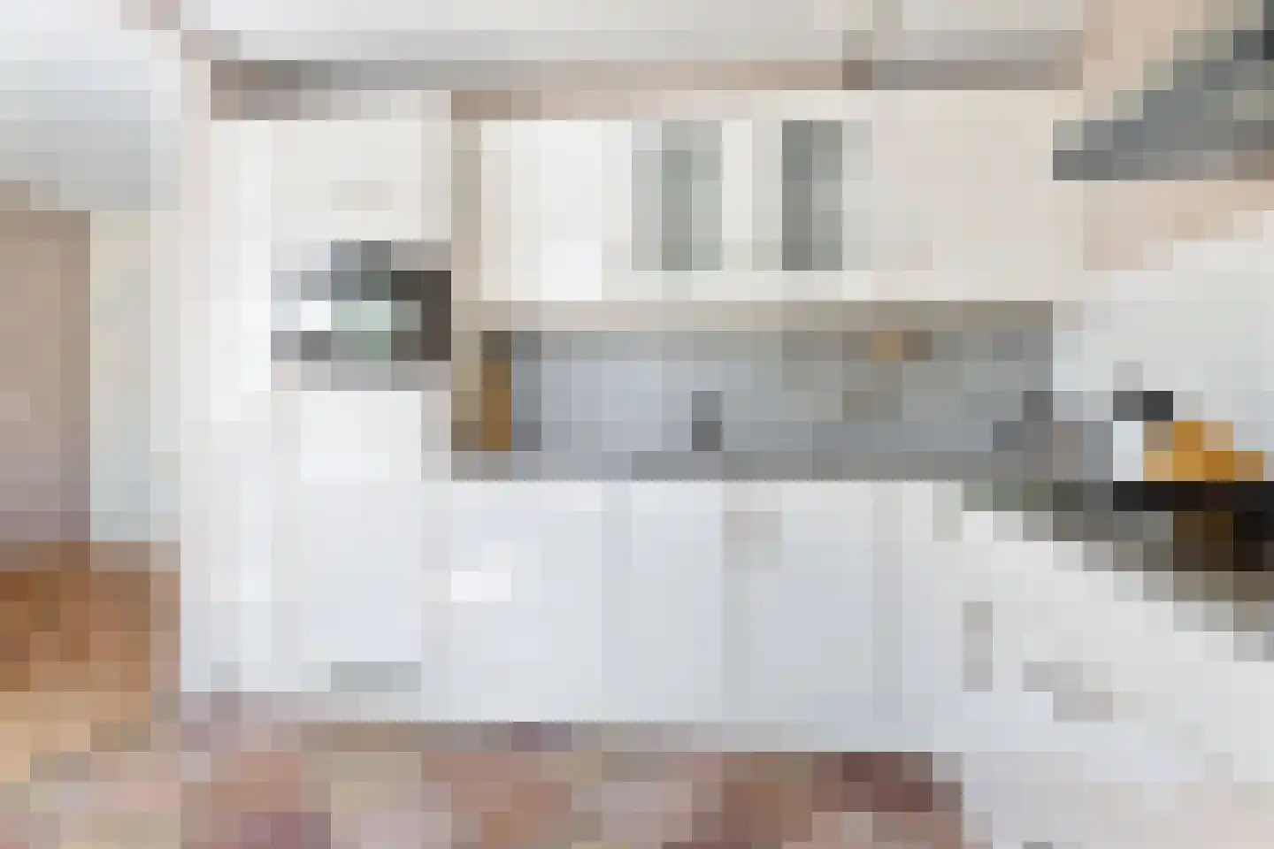 De Tsjalk 8 Hallum thumbnail 16