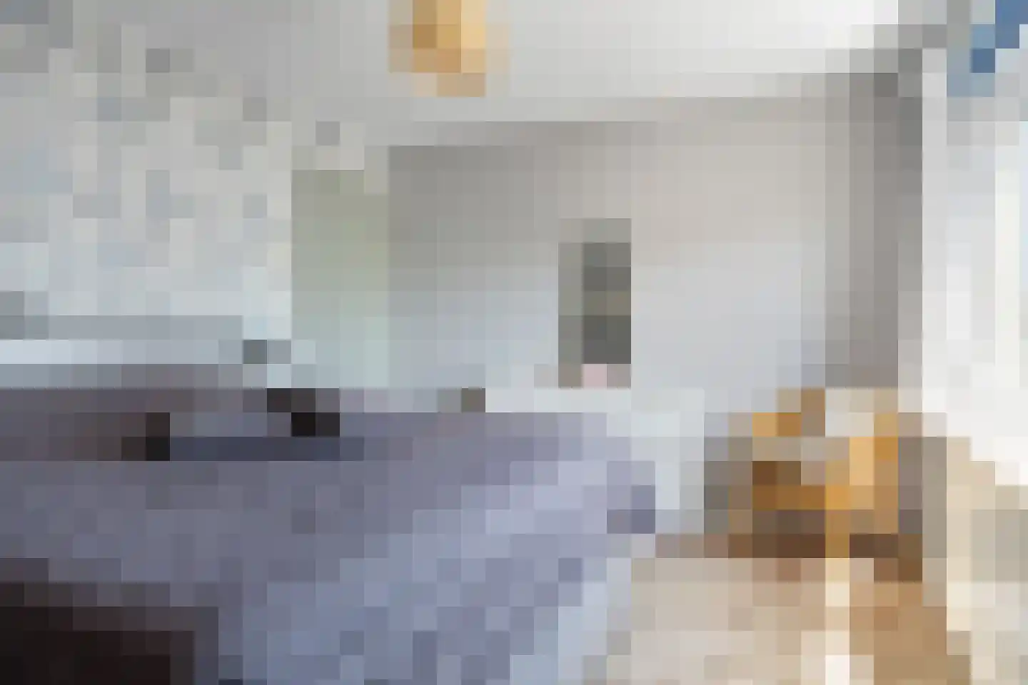 De Tsjalk 8 Hallum thumbnail 24