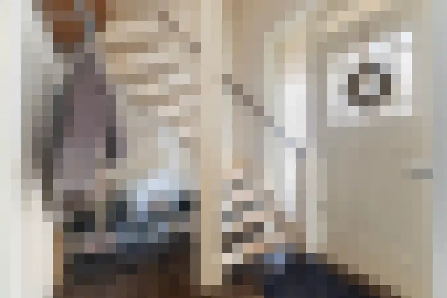 De Tsjalk 9 Hallum thumbnail 13