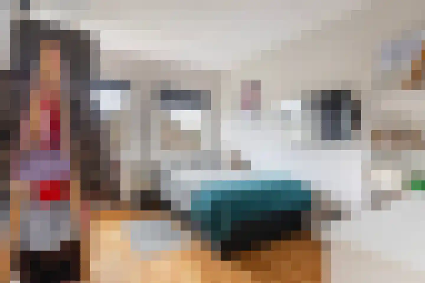 De Tsjalk 9 Hallum thumbnail 16