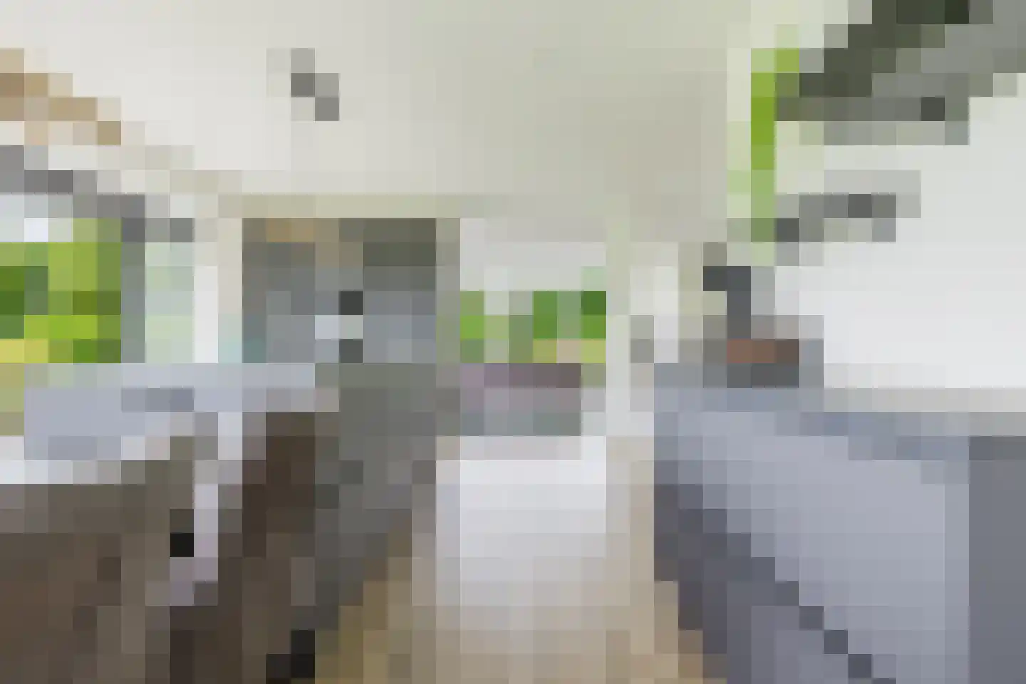 De Tsjoele 7 Gorredijk thumbnail 13