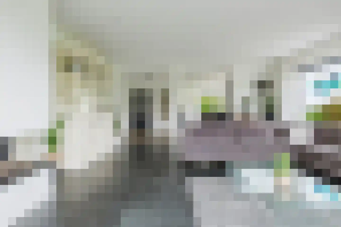 De Tsjoele 7 Gorredijk thumbnail 17