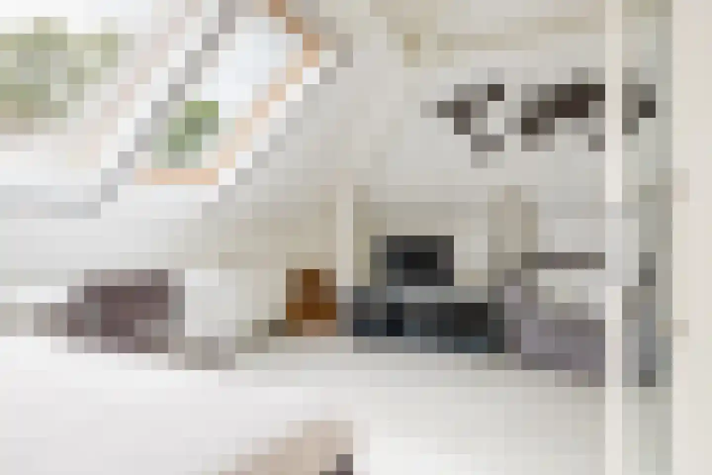 De Tsjoele 7 Gorredijk thumbnail 32