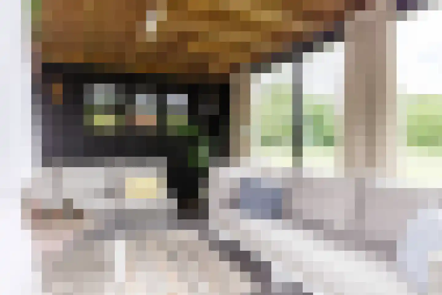 De Tsjoele 7 Gorredijk thumbnail 40