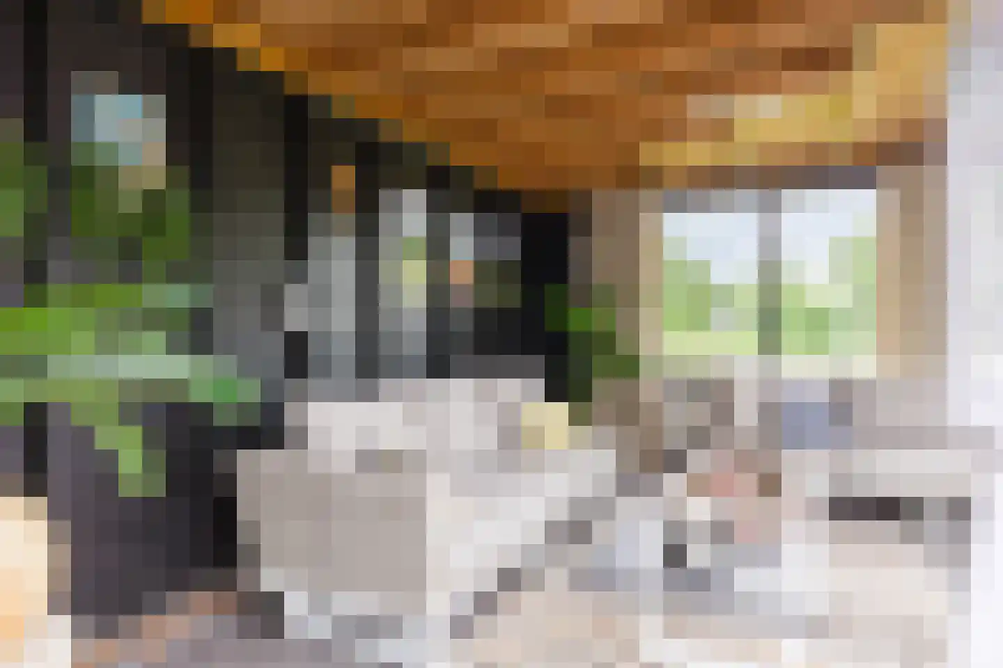 De Tsjoele 7 Gorredijk thumbnail 41