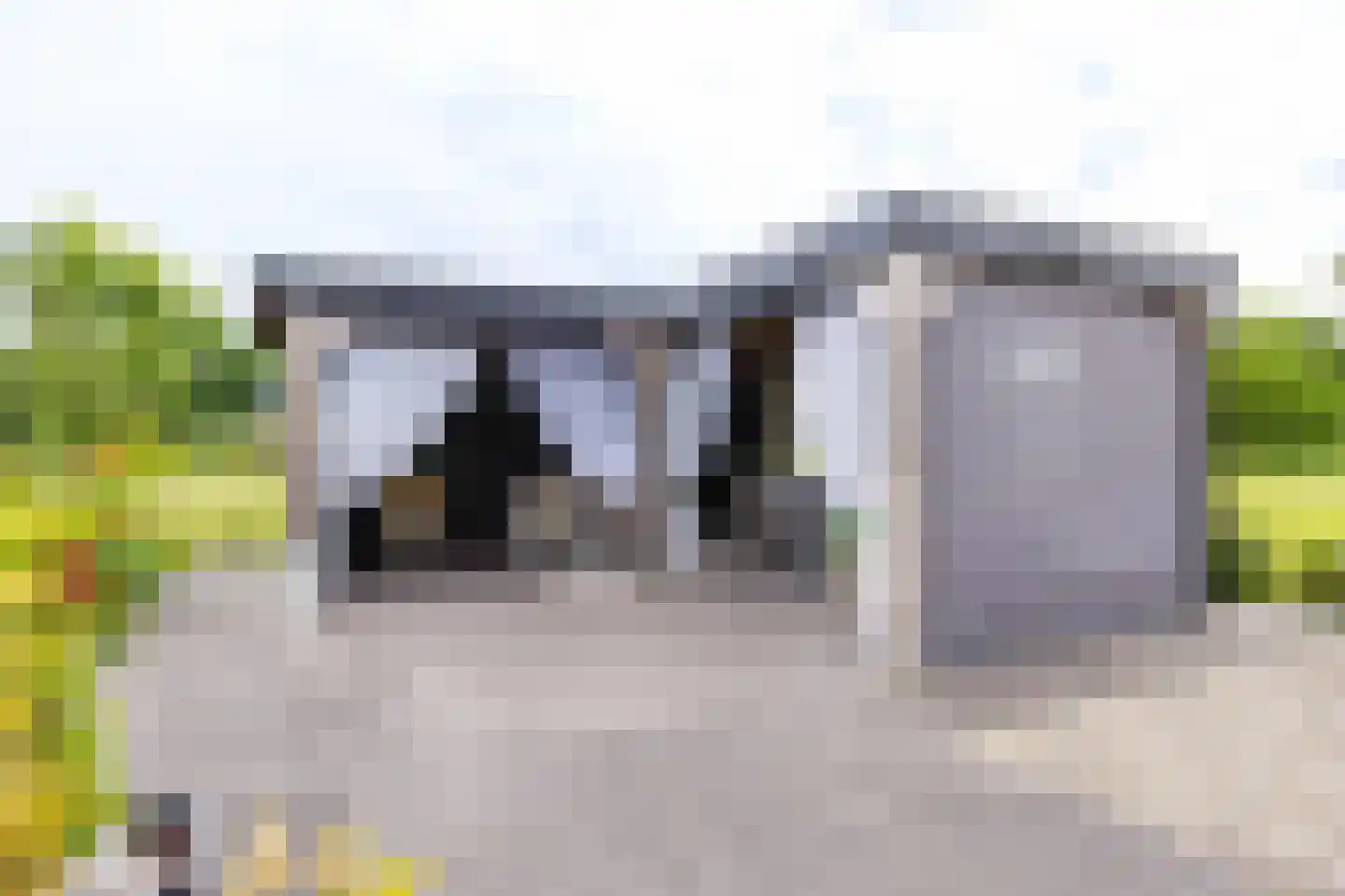 De Tsjoele 7 Gorredijk thumbnail 42