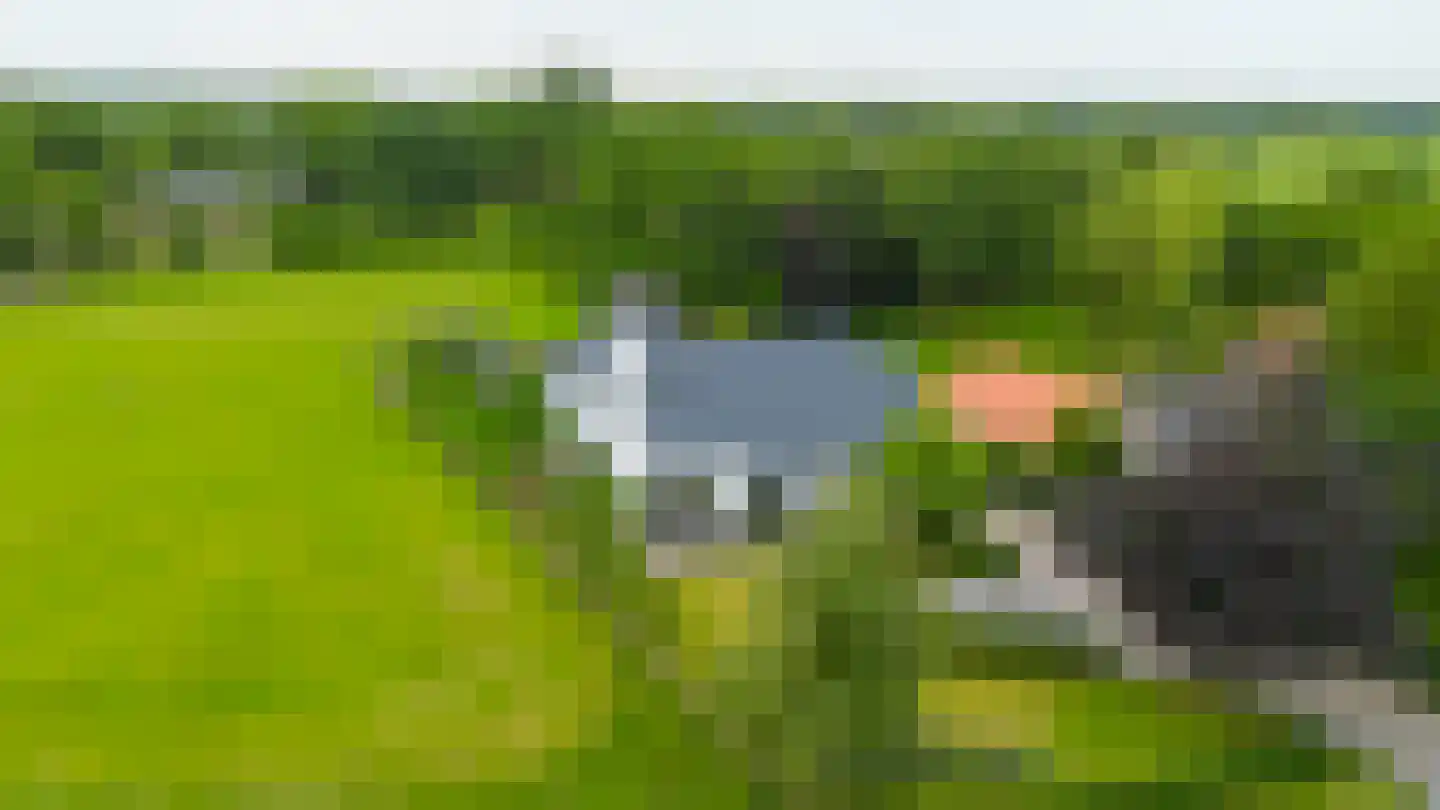 De Tsjoele 7 Gorredijk thumbnail 49