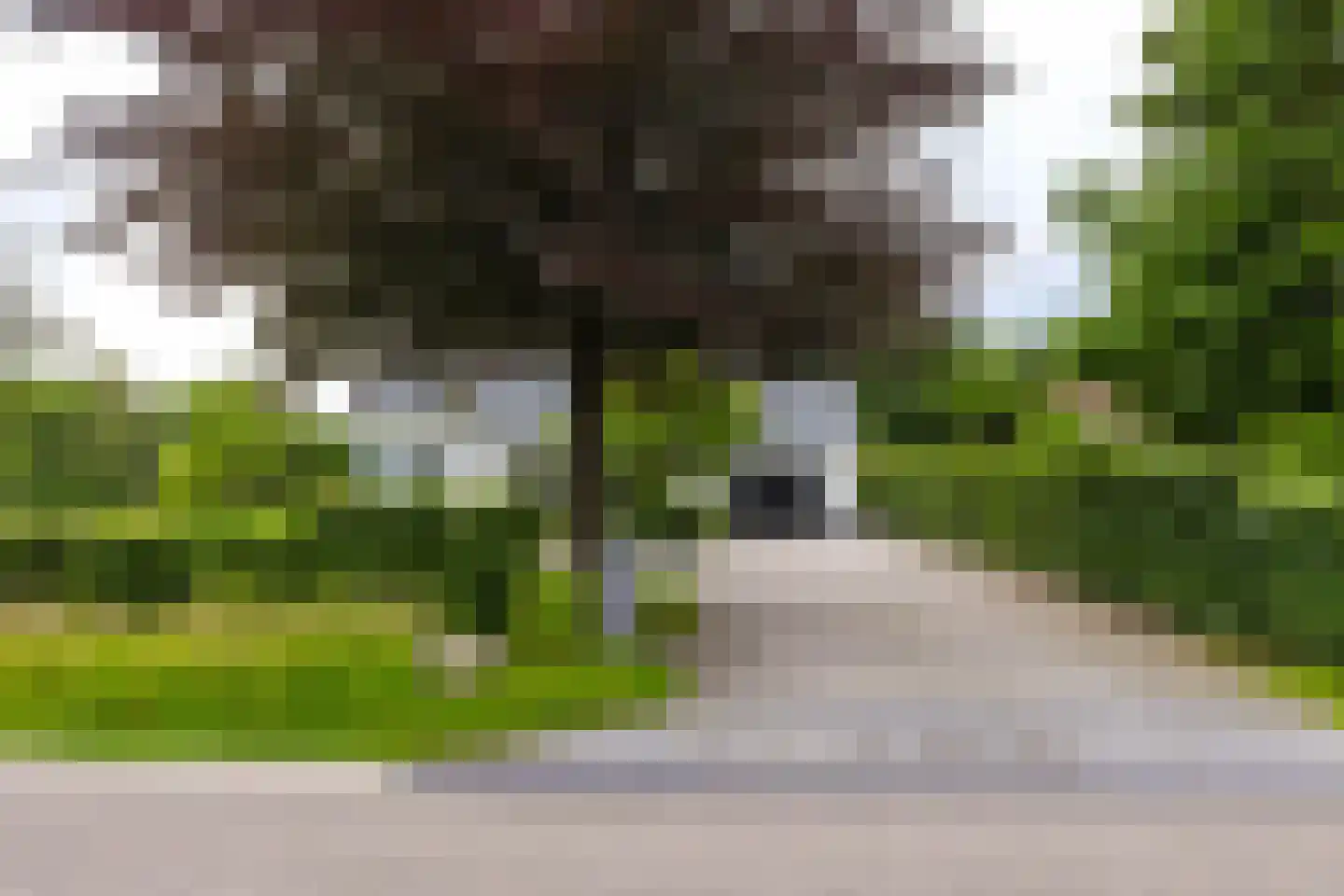 De Tsjoele 7 Gorredijk thumbnail 6