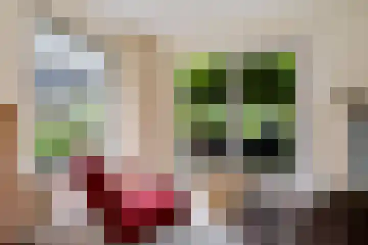 De Tsjotter 14 Hallum thumbnail 10