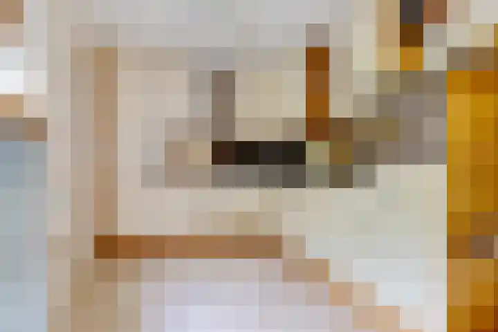 De Tsjotter 14 Hallum thumbnail 12