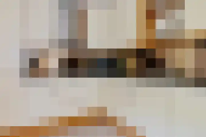 De Tsjotter 14 Hallum thumbnail 13