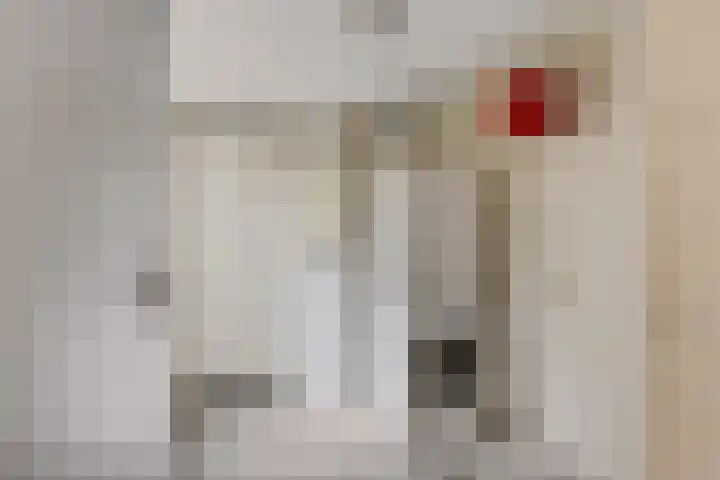 De Tsjotter 14 Hallum thumbnail 17