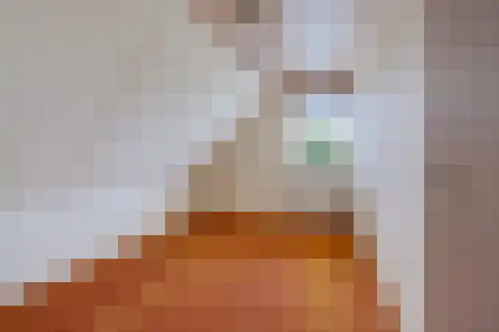 De Tsjotter 14 Hallum thumbnail 20