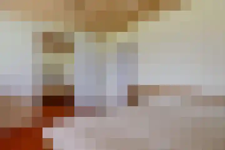 De Tsjotter 14 Hallum thumbnail 25
