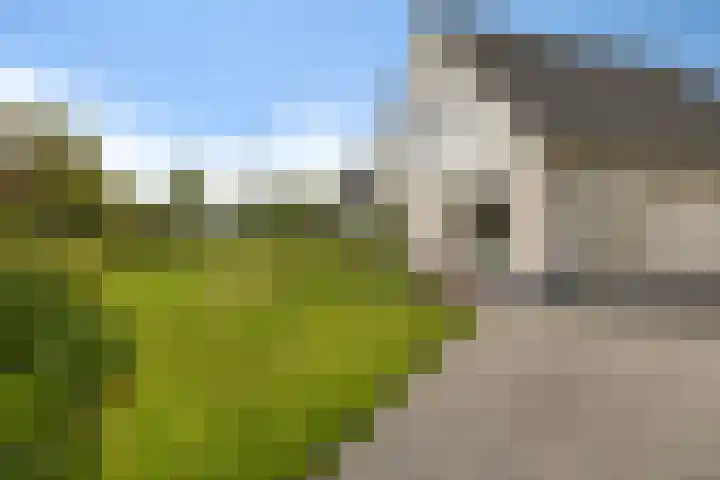 De Tsjotter 14 Hallum thumbnail 30