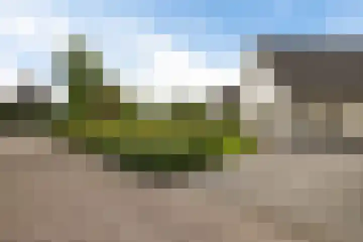 De Tsjotter 14 Hallum thumbnail 32