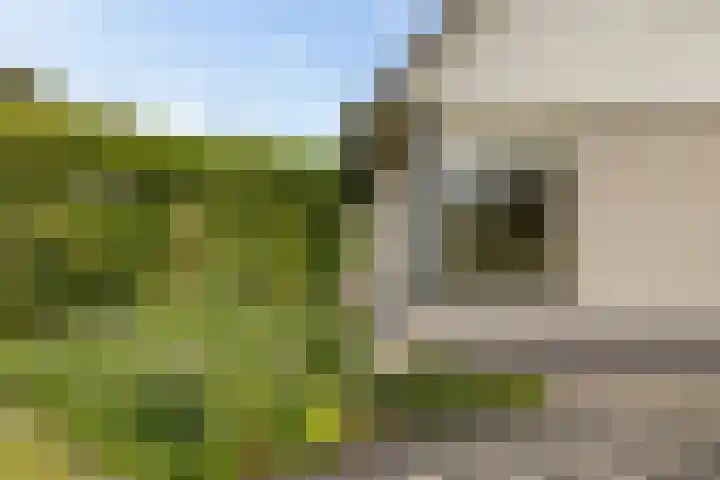 De Tsjotter 14 Hallum thumbnail 33