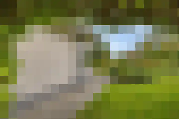 De Tsjotter 14 Hallum thumbnail 36