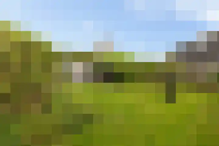 De Tsjotter 14 Hallum thumbnail 37