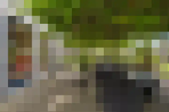 De Tsjotter 14 Hallum thumbnail 39