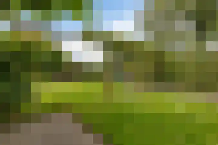 De Tsjotter 14 Hallum thumbnail 41