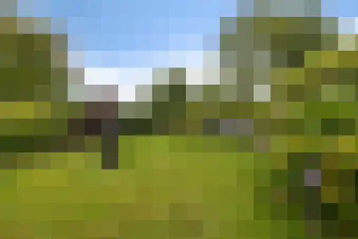 De Tsjotter 14 Hallum thumbnail 43