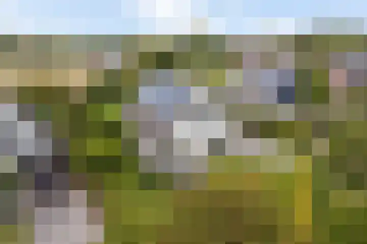 De Tsjotter 14 Hallum thumbnail 44