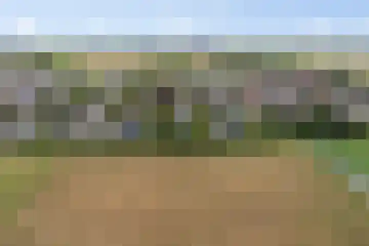 De Tsjotter 14 Hallum thumbnail 50
