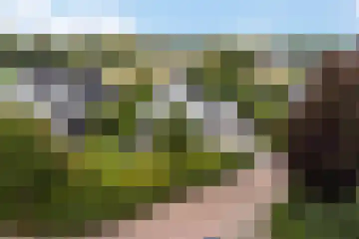 De Tsjotter 14 Hallum thumbnail 52