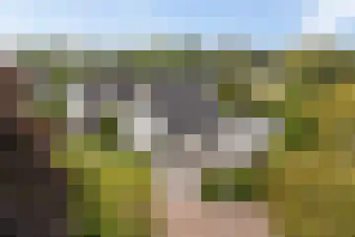 De Tsjotter 14 Hallum thumbnail 53