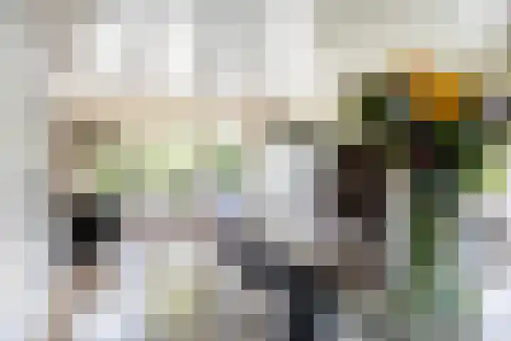 De Tsjotter 3 Hallum thumbnail 12