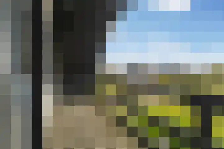De Tsjotter 3 Hallum thumbnail 26