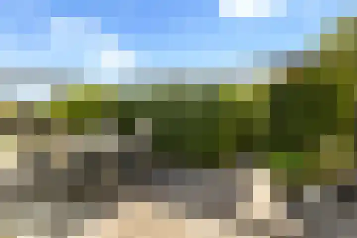 De Tsjotter 3 Hallum thumbnail 37