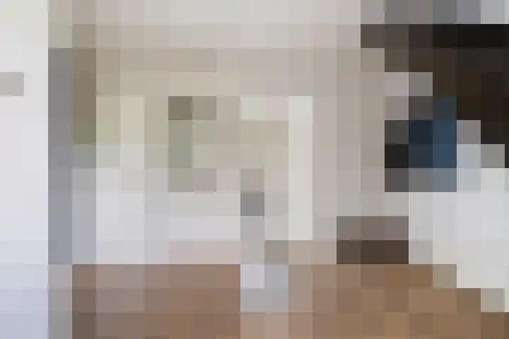 De Tsjotter 3 Hallum thumbnail 4