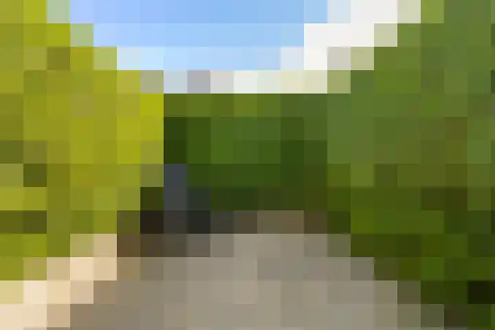 De Tsjotter 3 Hallum thumbnail 42