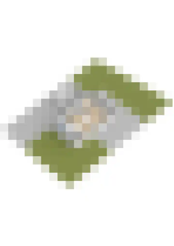 De Tsjotter 3 Hallum thumbnail 71