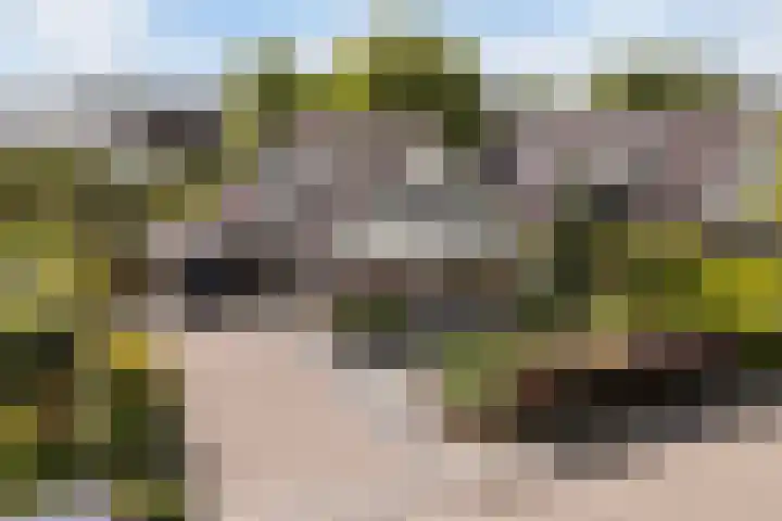 De Tsjotter 3 Hallum thumbnail 72